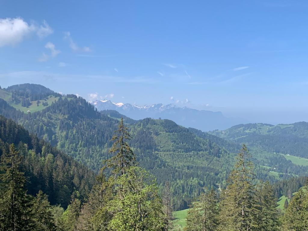 Boutique Hotel Corbetta - Spa 60M2 - La Montagne A 5 Minutes De L'Autoroute A12 Aux Paccots Sur Montreux - Nouveau Loft Familial - Profitez Du Lac Leman Et Des Montagnes En Meme Temps Les Paccots Extérieur photo